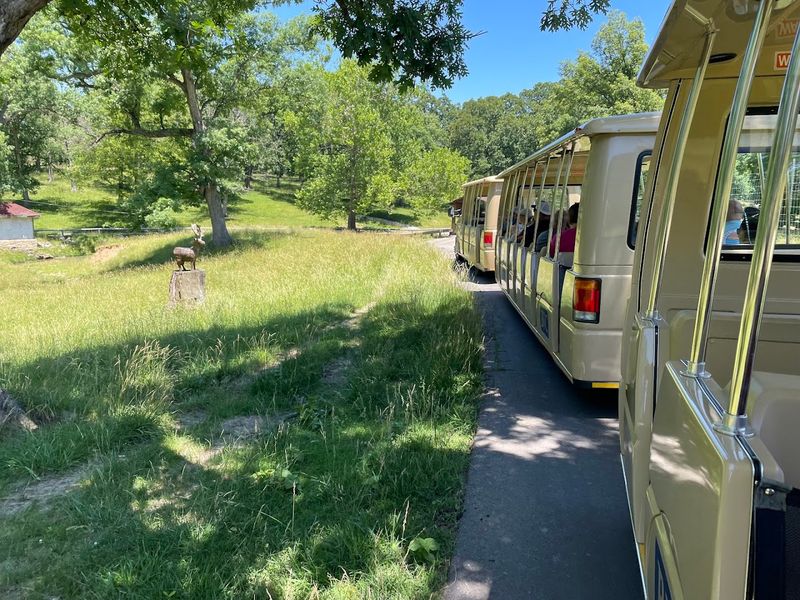 The Famous Tram Ride Through Wildlife
