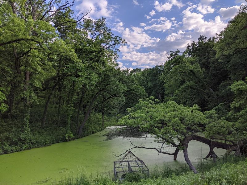 Fontenelle Forest, Bellevue