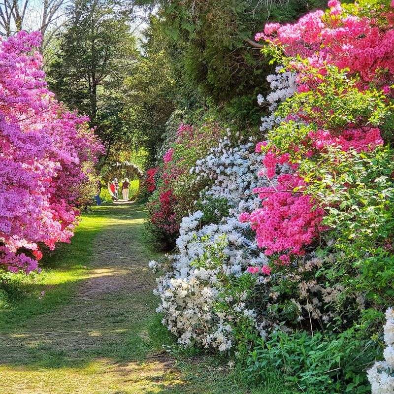 This Rhode Island Garden Feels Like A Quiet World Of Its Own - Decor Hint Peak Bloom Season And Timing Tips