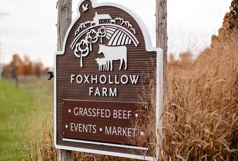 This Unassuming Kentucky Farm Is Quietly Leading A Revolution In American Agriculture - Decor Hint The Collaborative And Community-Centered Farm Model