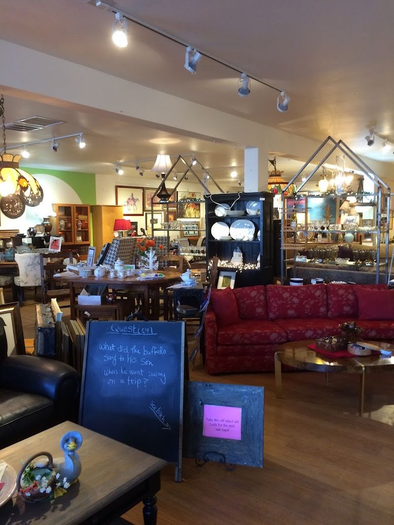 Shopping Here Supports Real Wildlife Rehabilitation