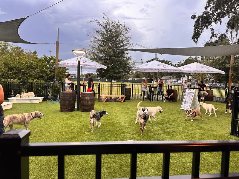 This Florida Spot Is Basically A Playground For Dogs And A Break For Their Humans - Decor Hint Shade And Seating That Work