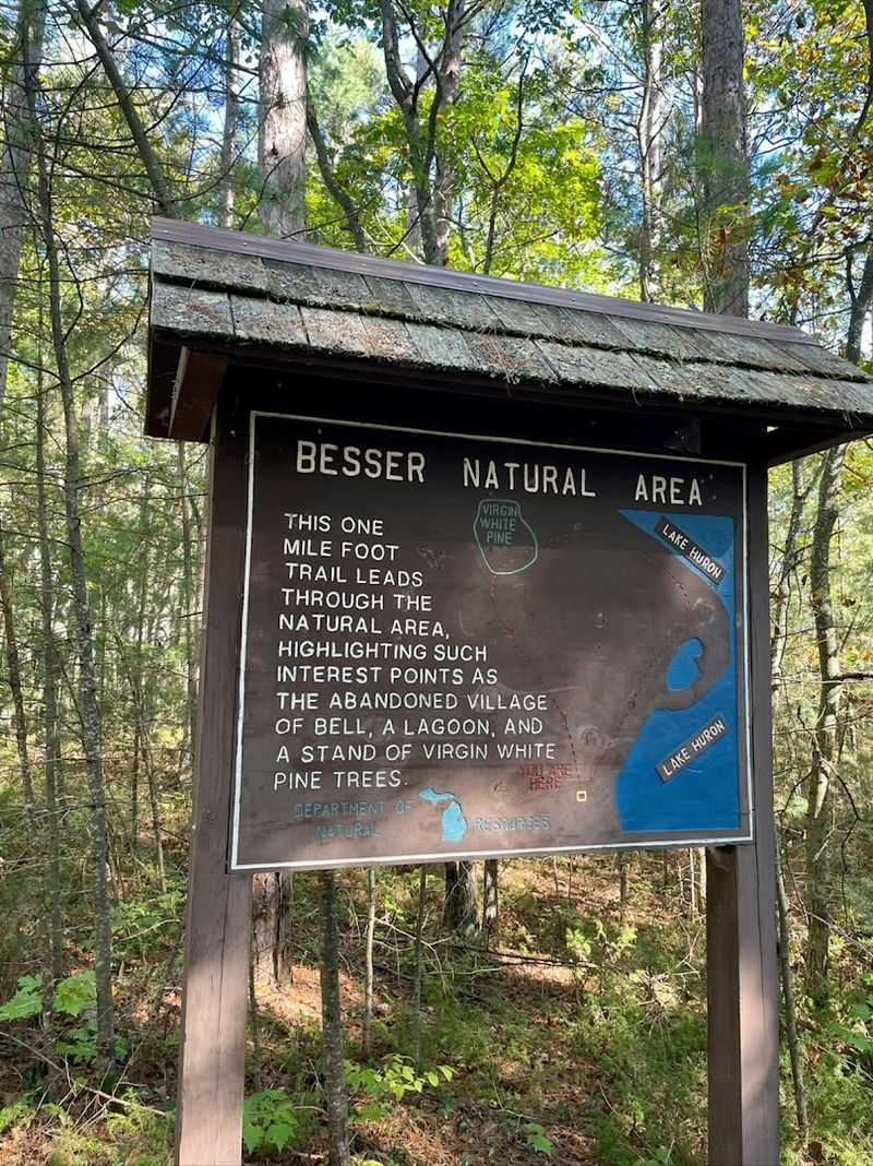 Why Jesse Besser Deserves A Thank You