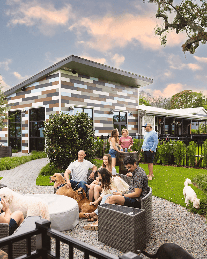This Florida Spot Is Basically A Playground For Dogs And A Break For Their Humans - Decor Hint Agility Features That Keep Dogs Mentally Sharp