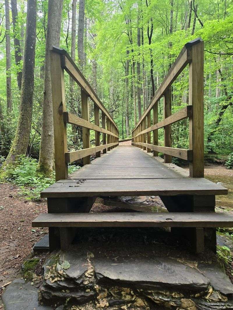 A Wooden Bridge Crossing Adds Charm Mid-Hike
