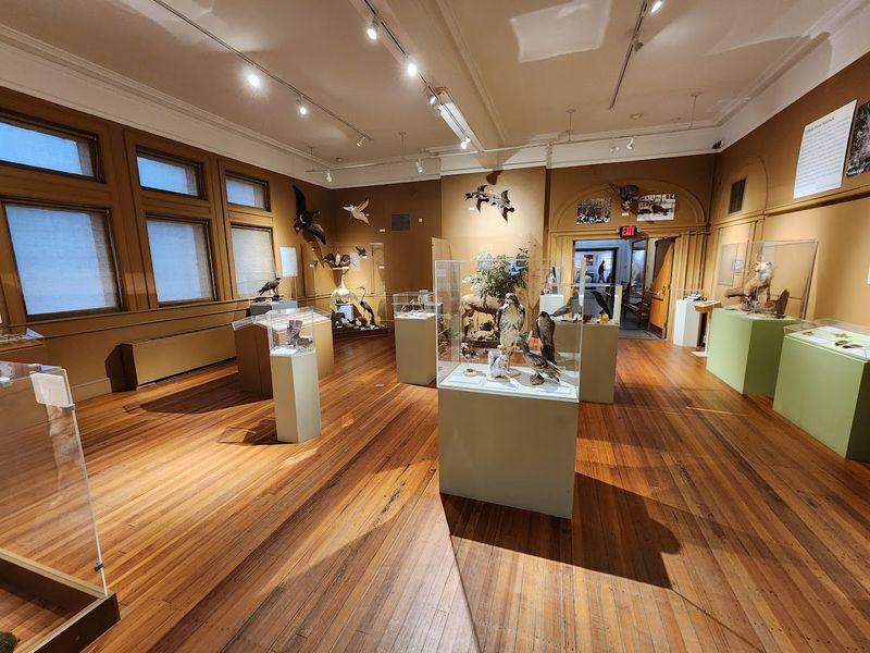Rhode Island Is Home To A Museum That Feels Like Two Worlds In One - Decor Hint The Planetarium Show Seals It