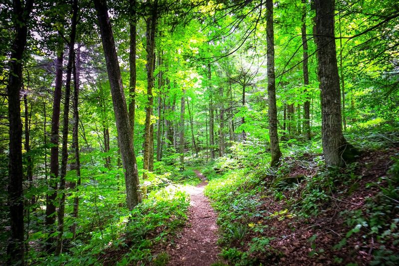 The Canyon Vista Trail Worth Every Steep Step