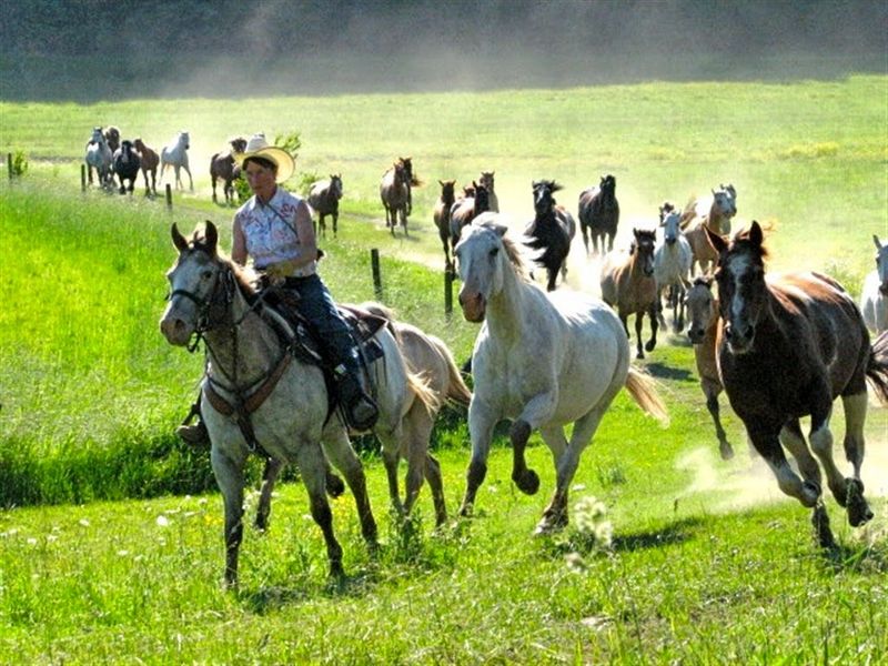 Horseback Riding Gives This Ranch Its Classic Hook