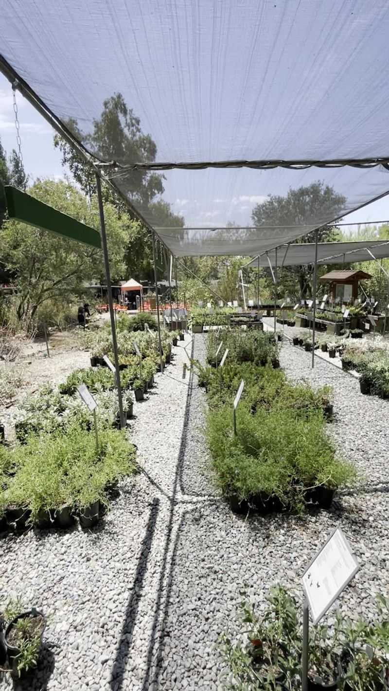 Classes Make The Place More Than A Plant Shop