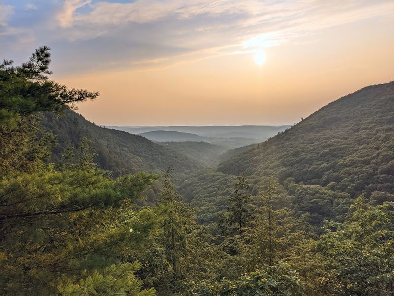What The Landscape Actually Looks Like