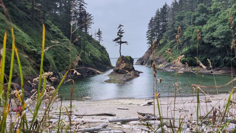 What The Cove Actually Looks Like