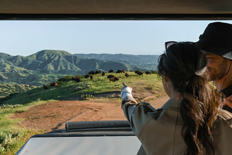 The Best Way To See Them Is On A Guided Interior Tour