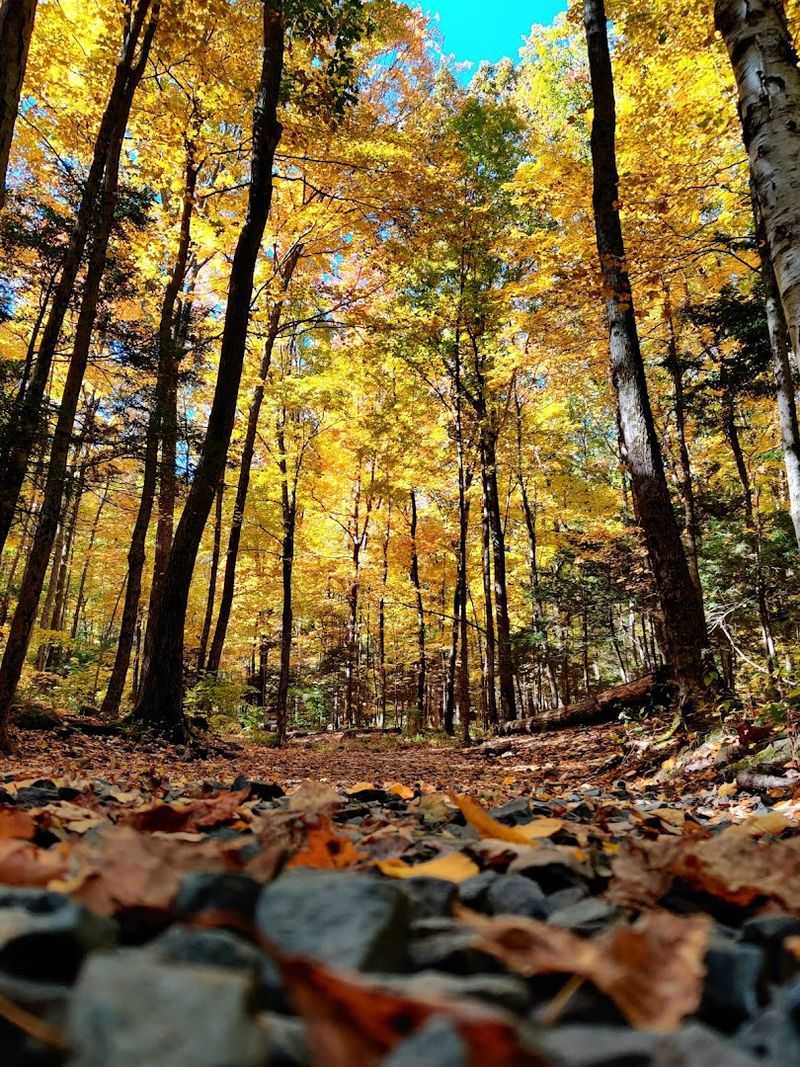 Best Seasons To Visit And What Changes