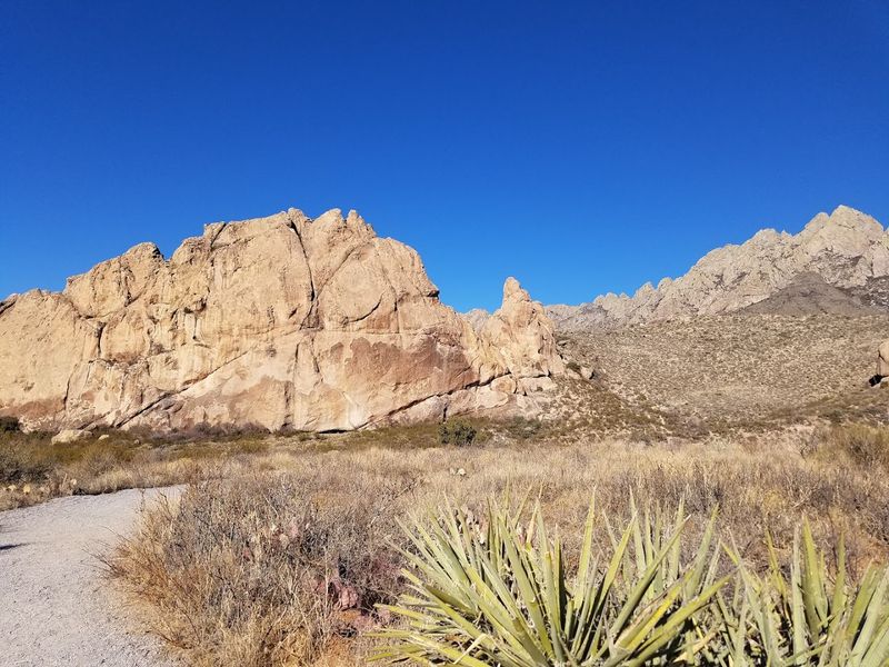 The New Mexico Hike Where A Desert Spring And Forgotten Ruins Wait At The End - Decor Hint Three Miles Of Desert Storytelling