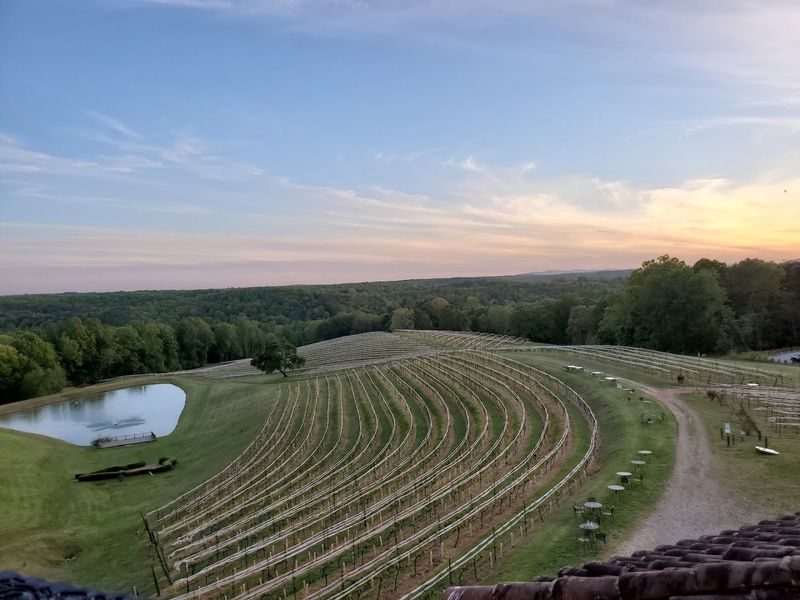 There's An Enchanting Garden Restaurant In Georgia That Seems Too Beautiful To Be Real - Decor Hint Vineyard Views From The Second-Floor Patio That Are Truly Breathtaking