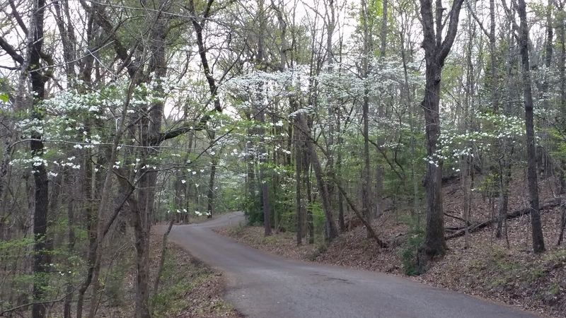 Where Spring Puts On A Real Show