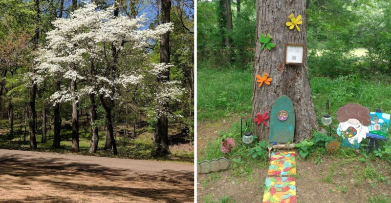 The Underrated Texas Trail That Deserves A Spot On Your Spring Bucket List