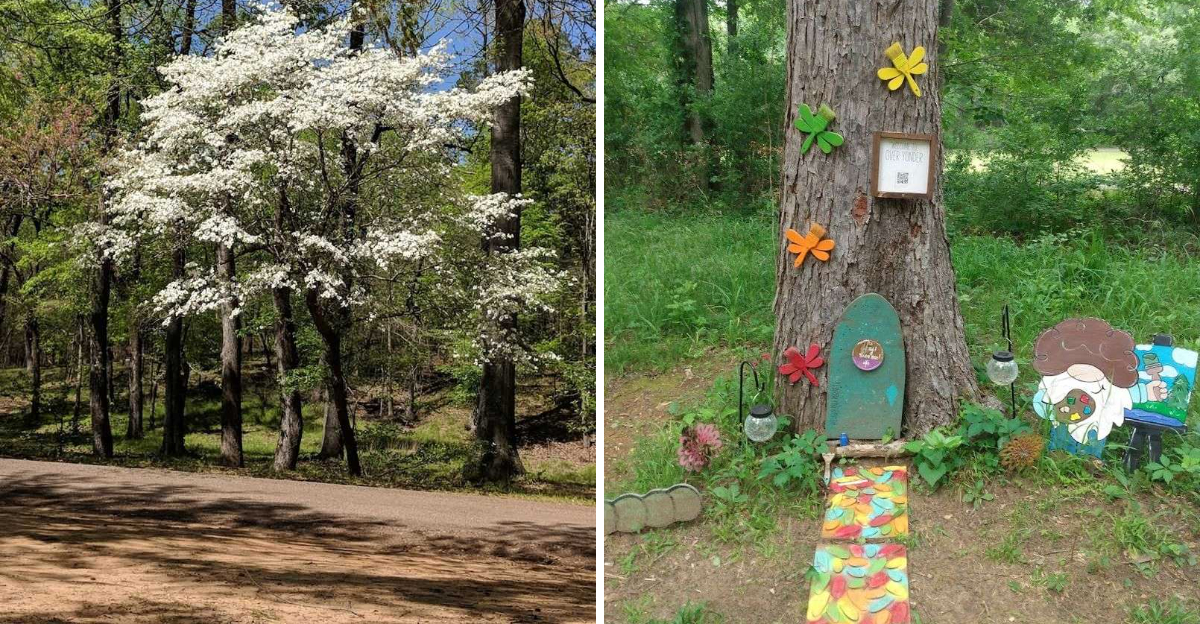 The Underrated Texas Trail That Deserves A Spot On Your Spring Bucket List - Decor Hint