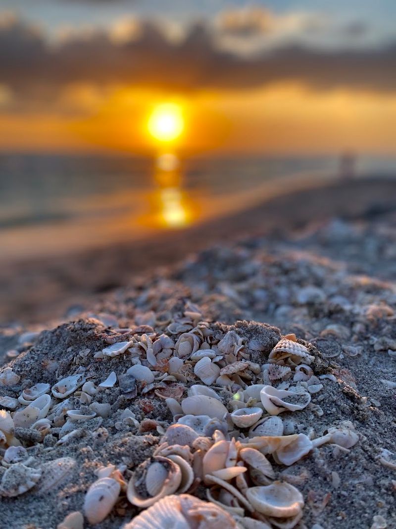 Shell-Hunting On The Gulf Side Beaches