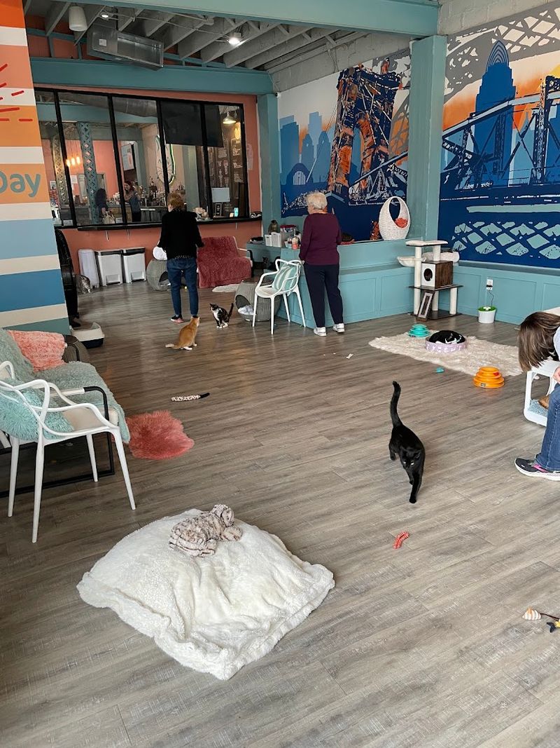 A Seriously Impressive Adoption Record That Sets This Place Apart