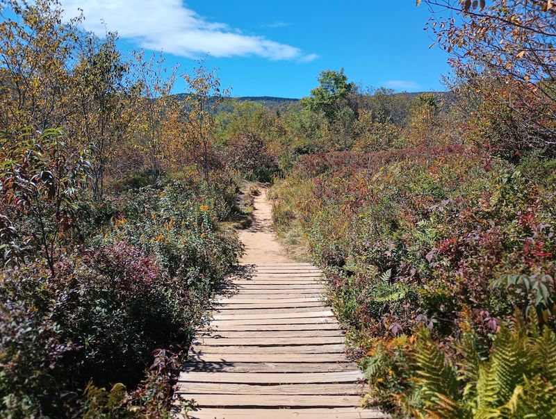 Mountain Meadows Make The Loop Feel Different