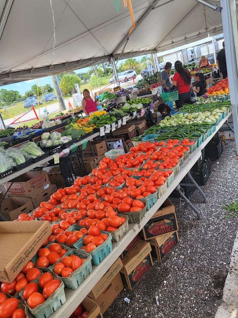 Fresh Produce That Rivals Any Farmers Market