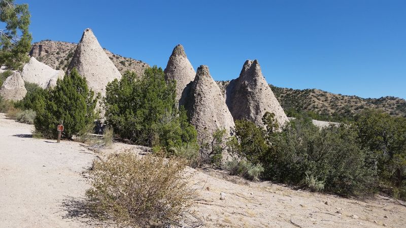 Wildlife and natural environment at the monument