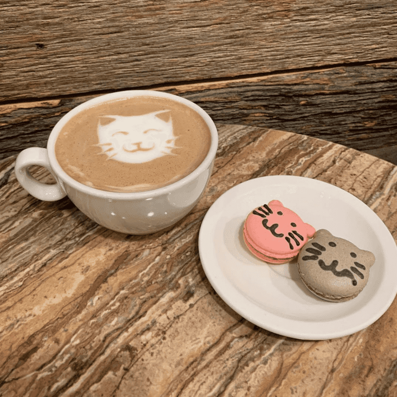 Coffee That Actually Delivers