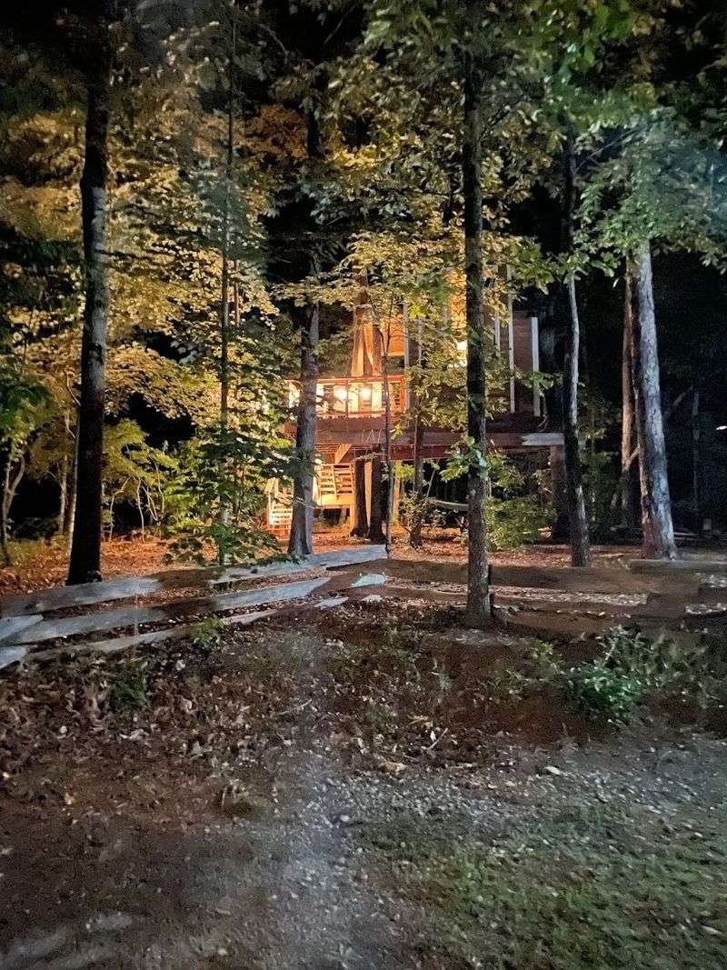 Sleeping Among The Trees All Night Long