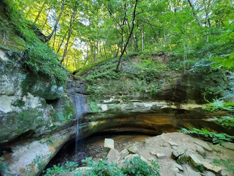 Down The Narrow Path Below