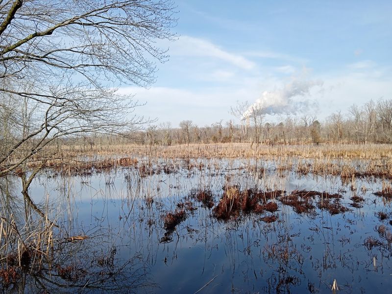 Surrounded By 810 Acres Of Protected Conservation Land