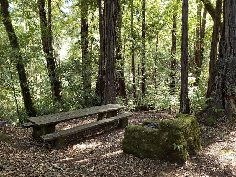Why The Location Off Alpine Road Keeps It Quiet