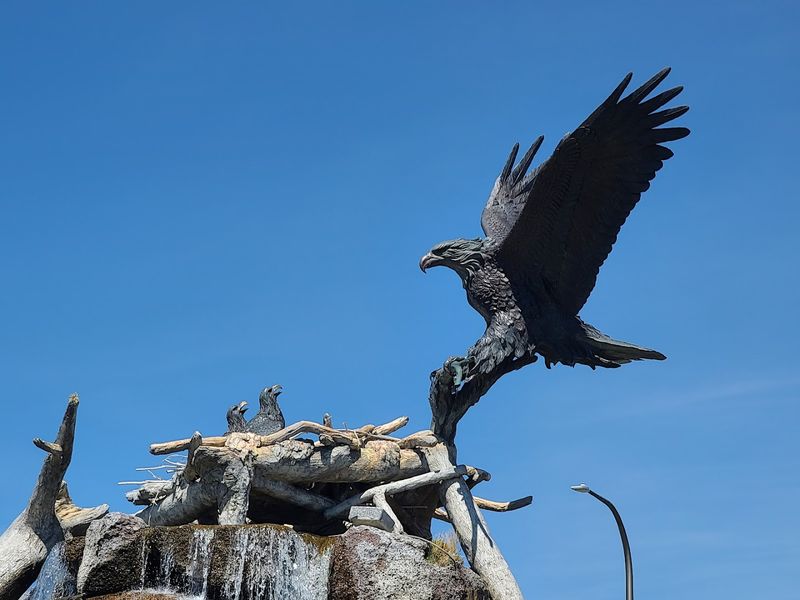 Eaglets Somehow Look Toddler-Sized