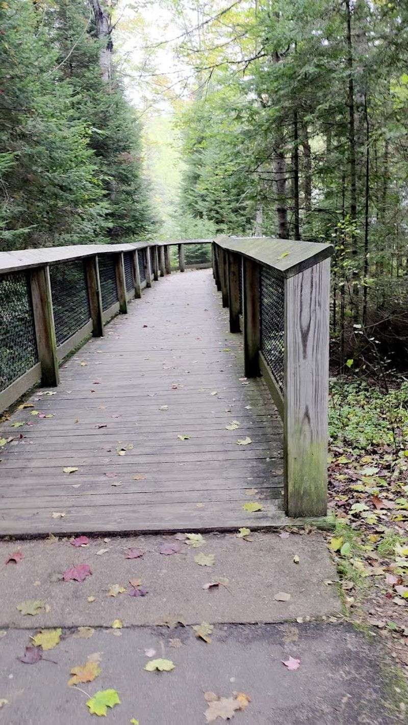 A Boardwalk Built For Every Kind Of Visitor