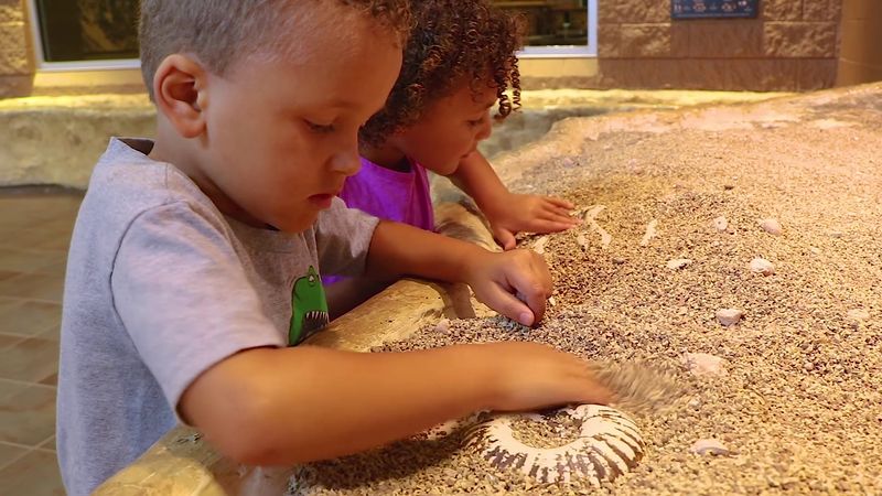 Gem Panning Activity: Sift, Search, And Keep Your Finds