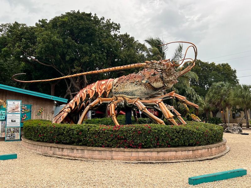 Why Betsy Is One Of The Most Photographed Spots In The Florida Keys