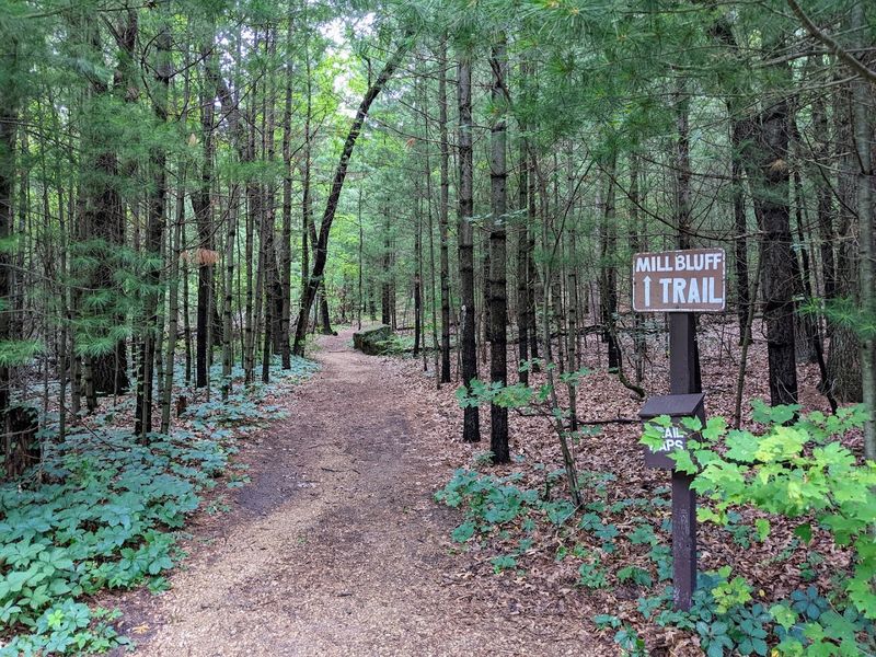 There Are 10 Beautiful State Parks In Wisconsin Deserve A Closer Look - Decor Hint Mill Bluff State Park, Camp Douglas