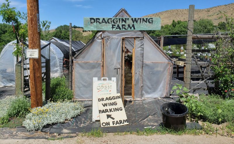 How This Nursery Got Its Start