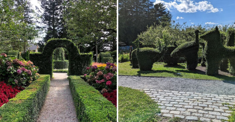 There Is Garden In Rhode Island Where Trees Are Sculpted Into Animals