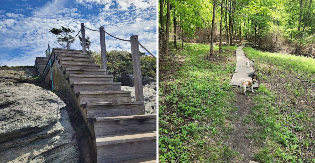 These 10 Beginner Friendly Rhode Island Trails Lead To Beautiful Scenery - Decor Hint