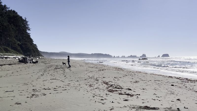 Shi Shi Beach