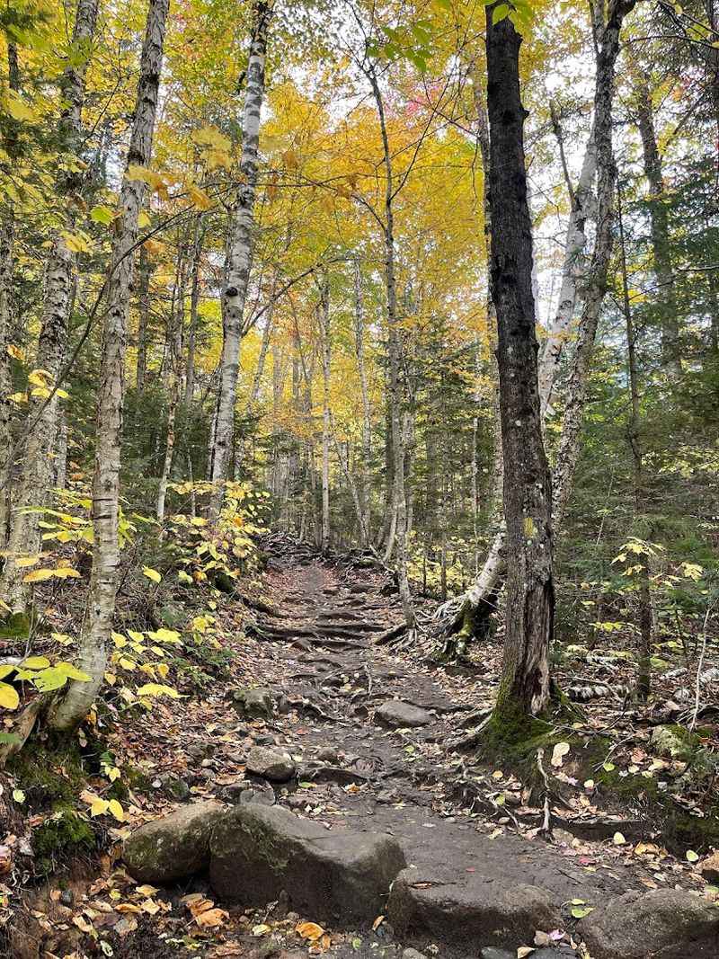 These 10 New Hampshire Easy Hikes That Save The Best Views For The Top - Decor Hint Mount Willard, Crawford Notch