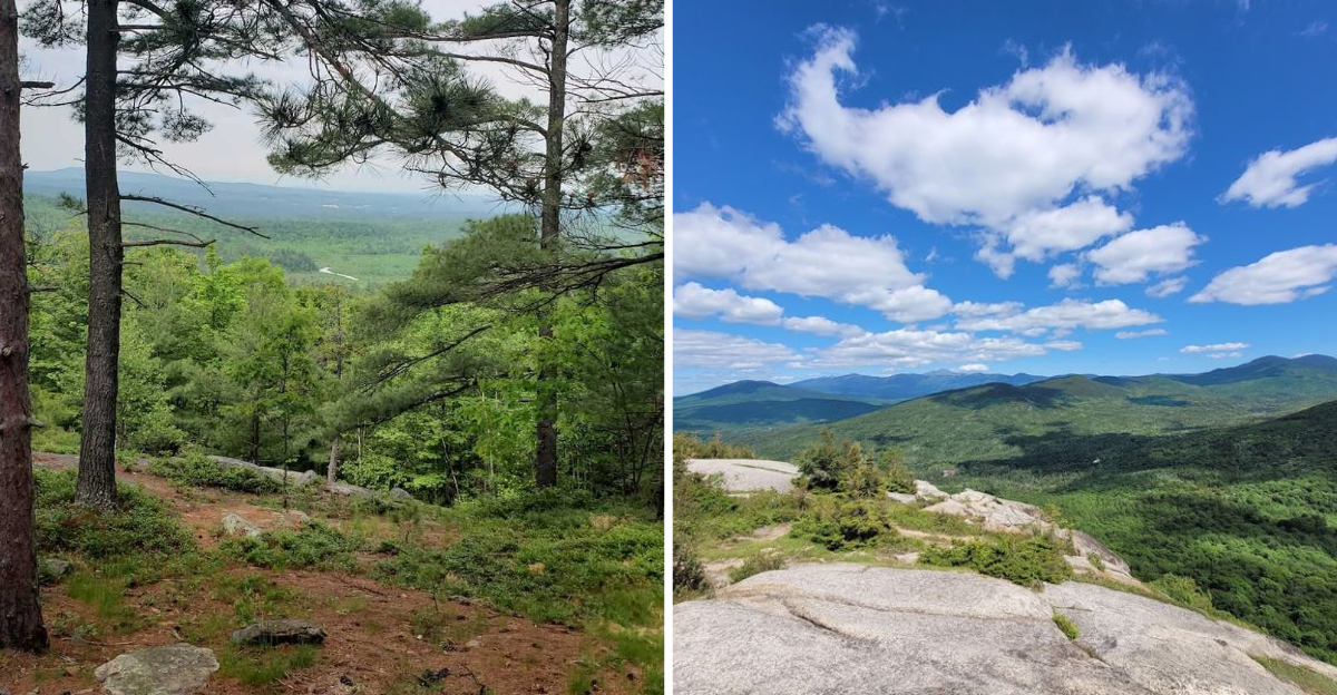 These 10 New Hampshire Easy Hikes That Save The Best Views For The Top - Decor Hint
