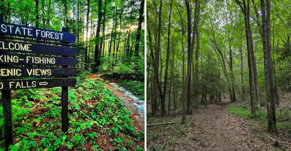 These 10 Scenic Connecticut Hikes Feel Like A Secret Youre Glad You Found - Decor Hint