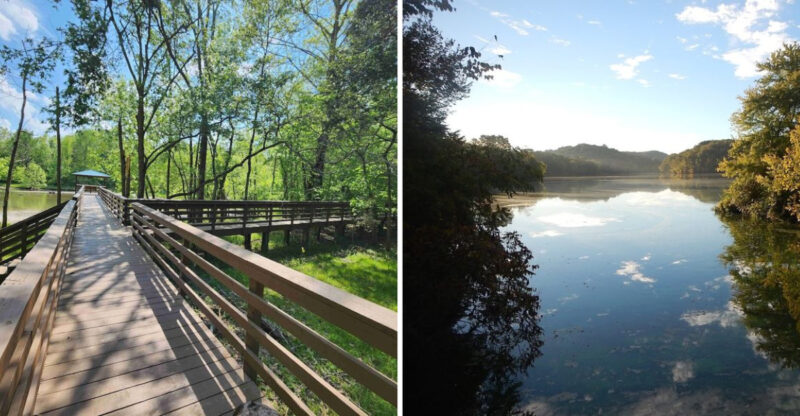 These 10 Tennessee Picnic Escapes Pair Big Views With Plenty Of Quiet
