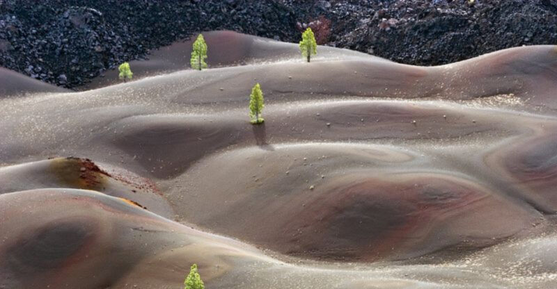 These 11 California Places Look Completely Made Up Until You See Them In Person