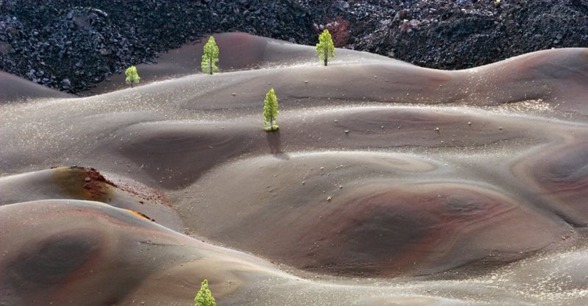 These 11 California Places Look Completely Made Up Until You See Them In Person - Decor Hint