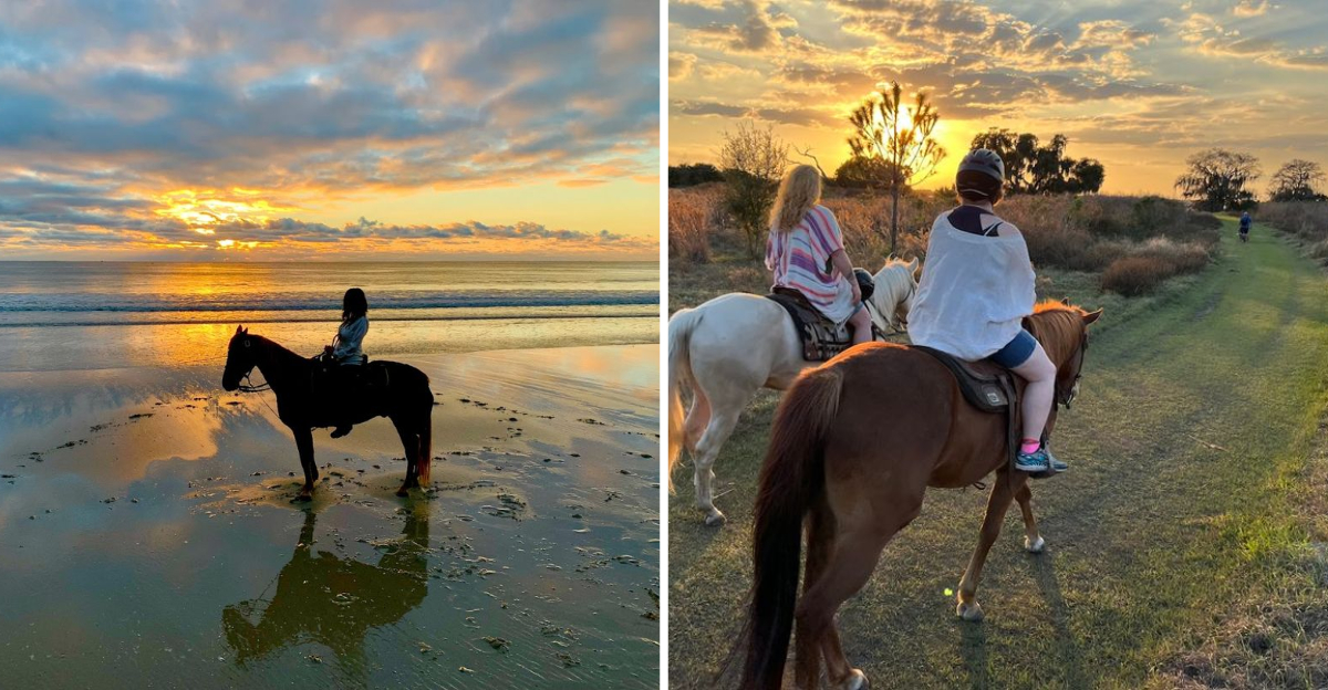 These 11 Florida Horseback Riding Spots Offer A Different Way To See The Sunshine State - Decor Hint