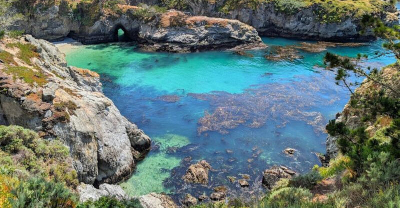 These 12 California Tide Pool Spots Feel Like Tiny Ocean Worlds Hiding In Plain Sight