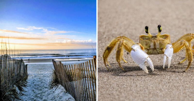 These 12 North Carolina Beaches Are Perfect For Spotting Ghost Crabs, Turtle Markers, And Nighttime Shoreline Surprises